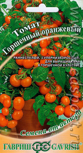 томат