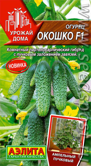 огурец