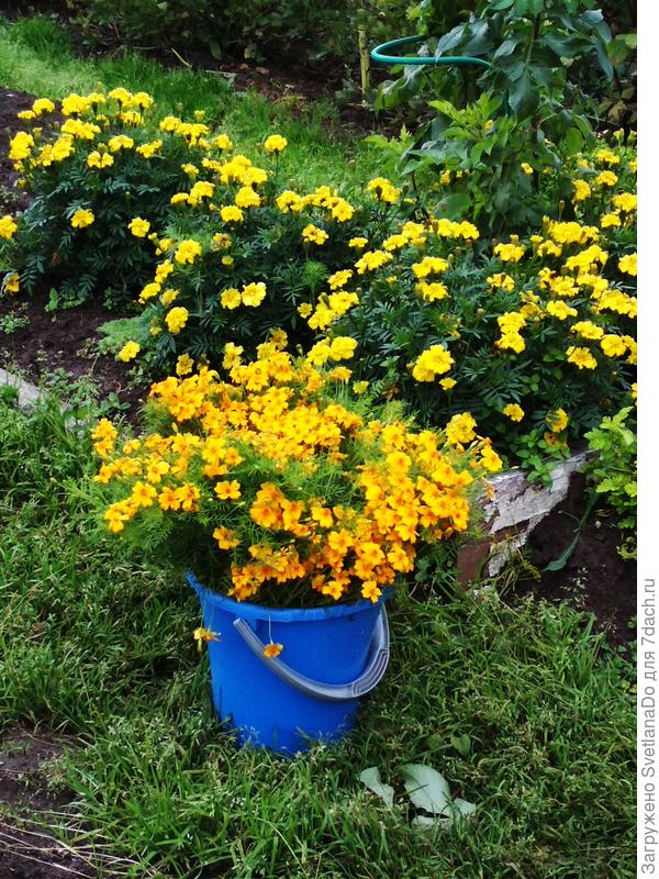 а тут уже пришлось кое-где убрать-мешали