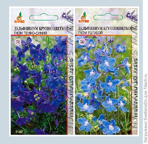 Гномы