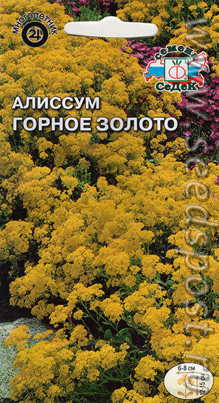 алиссум Горное золото