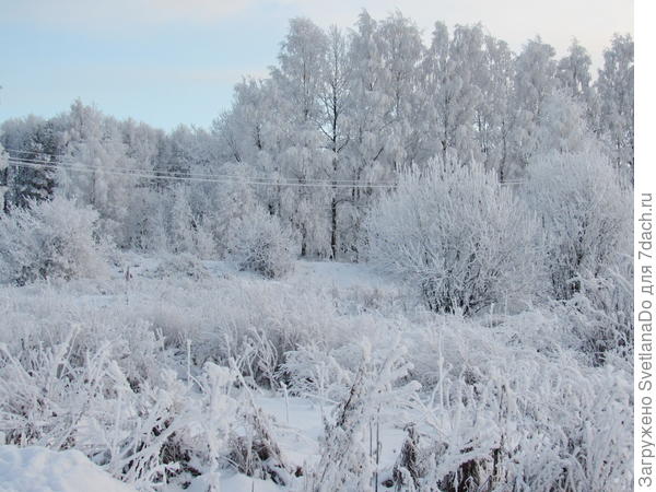 кочки в поле