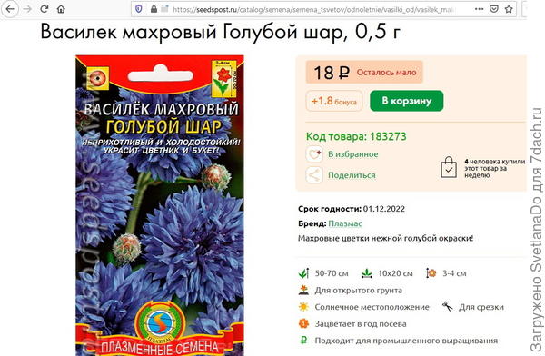 Василек махровый "Голубой шар"