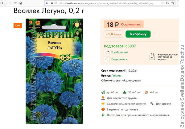 василек Лагуна