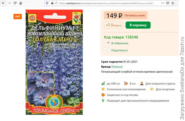 дельфиниум Голубая мечта
