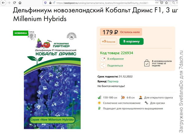 дельфиниум Кобальт Дримс