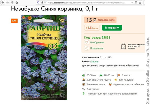 незабудка Синяя корзинка