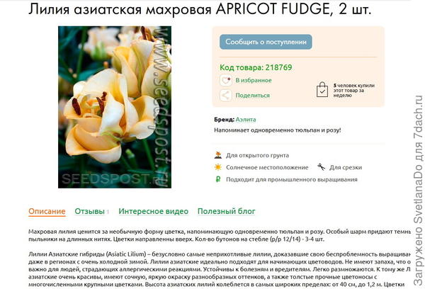 APRICOT FUDGE