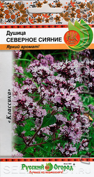 душица Северное сияние