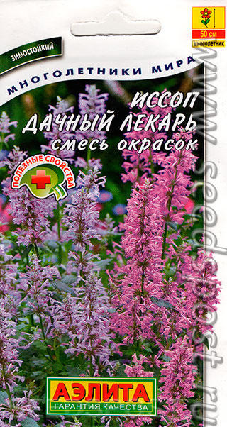 Иссоп Дачный лекарь