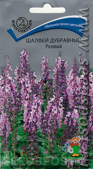 Шалфей дубравный розовый