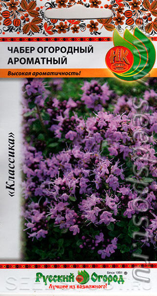 Чабер огородный Ароматный