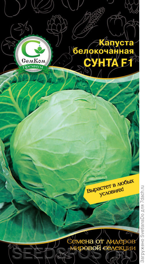 Сунта F1