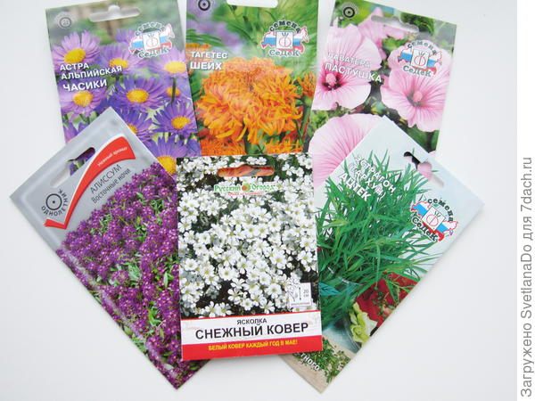 слева нижний ряд