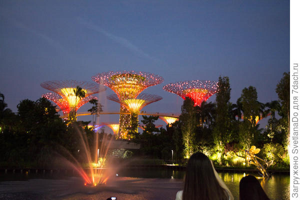 вечений Сингапур