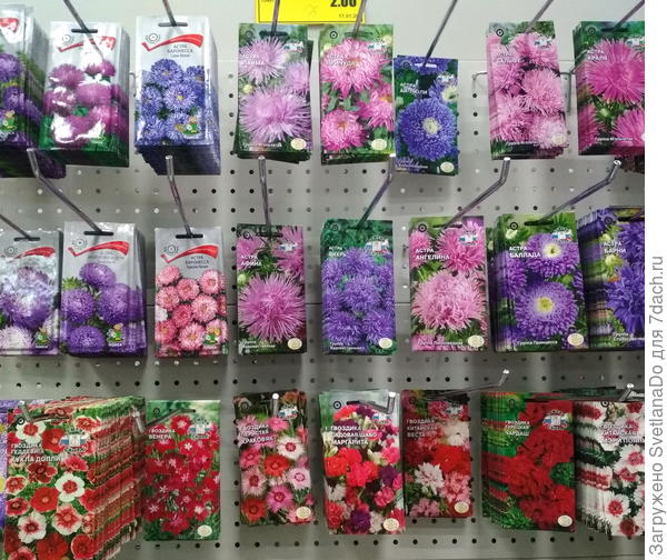 Почти все цветы Седек