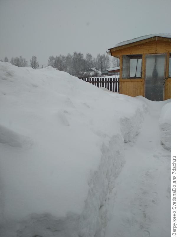 на даче прокапывали к беседке дорожку