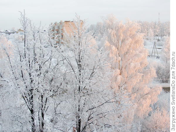 Света,тоже из окна(или с балкона,уже не помню)