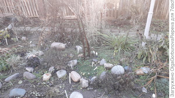 Вот тот бордак о котором я и переживаю.