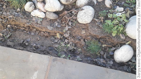 Пока еще просаживается грунт. Проблем много.