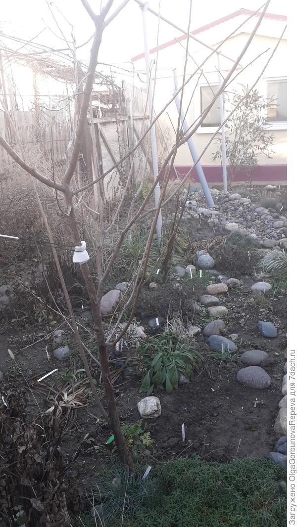 Вид от калитки более близко.