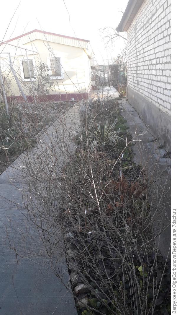 Узкая полоска вдоль соседского дома.