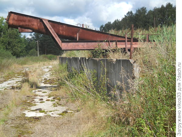 Шнековый погрузчик полужидкого навоза. Фото 2.