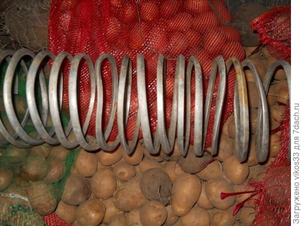 Фото пружины для сохранения картофеля.