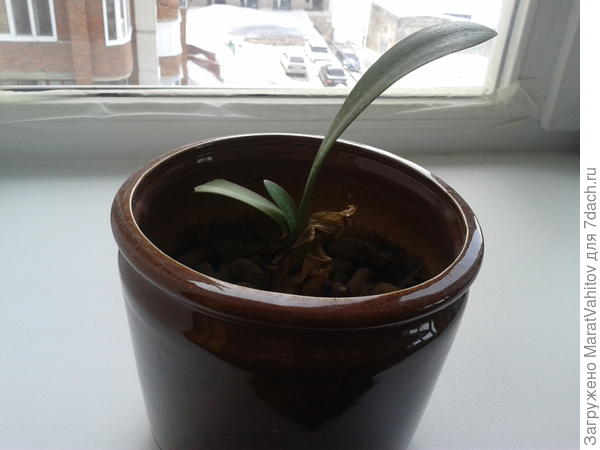 Оно же, с другой стороны