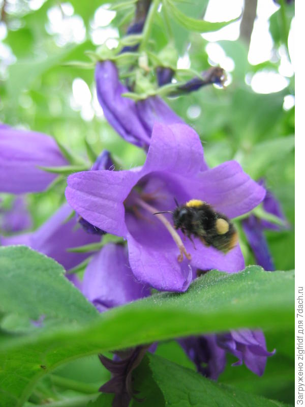 Позвонить, что ли?