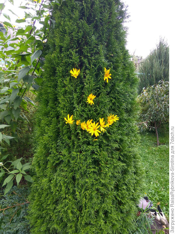 Всем хорошего настроения на весну.