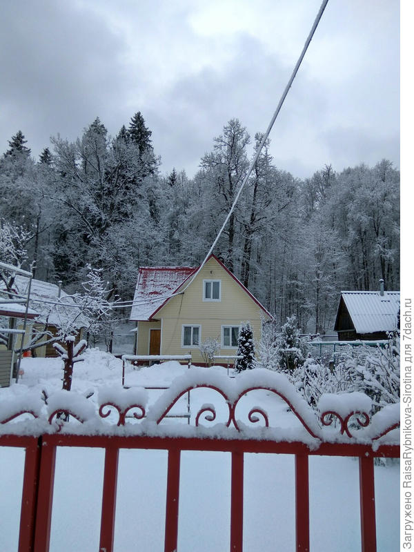 Все покрыто пушистым "одеялом".