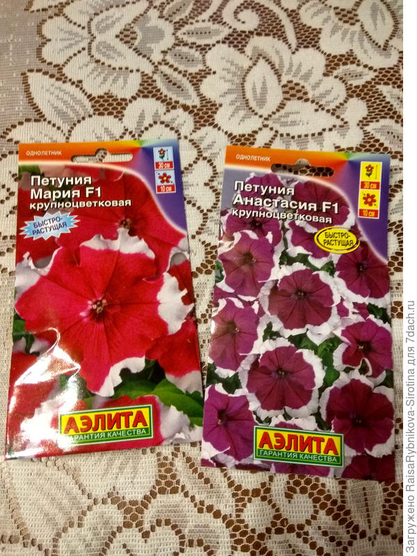 Петунии