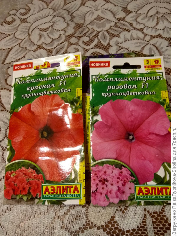 Петунии