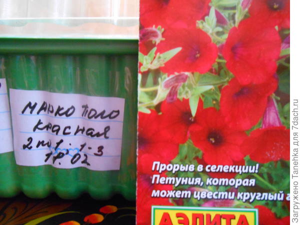 Маркирую каждый ряд
