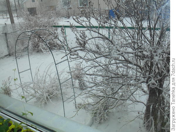 Как всегда в апреле, зима сказала не расслабляйтесь))))