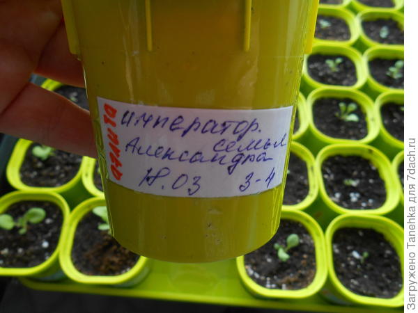 Маркировка