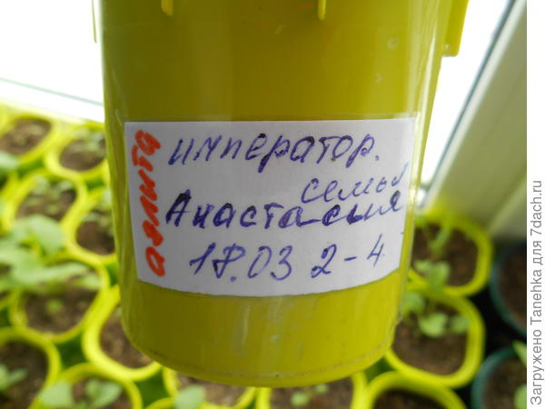 Маркировка