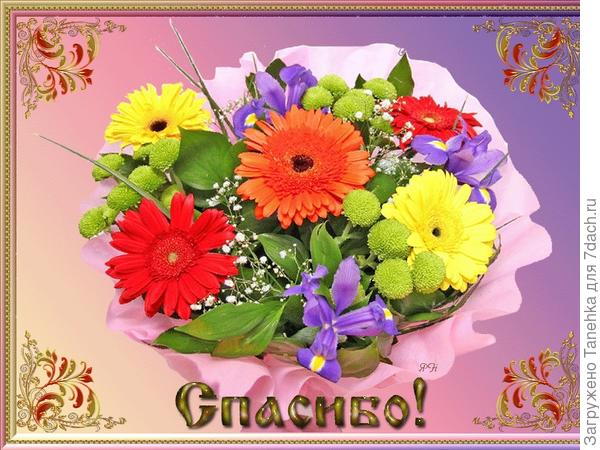 Запоздалое....