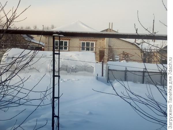 Ну а у нас пока снег , и первые росточки появятся не раньше апреля