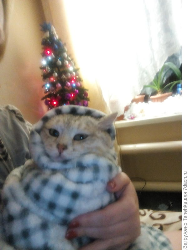 Отогреваемся)