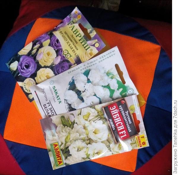 Не вынесла цветочная душа моя, а загребущие руки аж три сорта прихватили)))