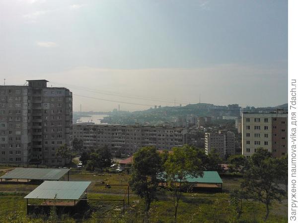 Вид из моего окна