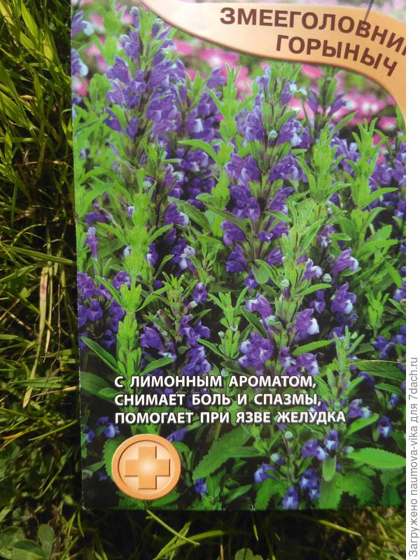 Семена.