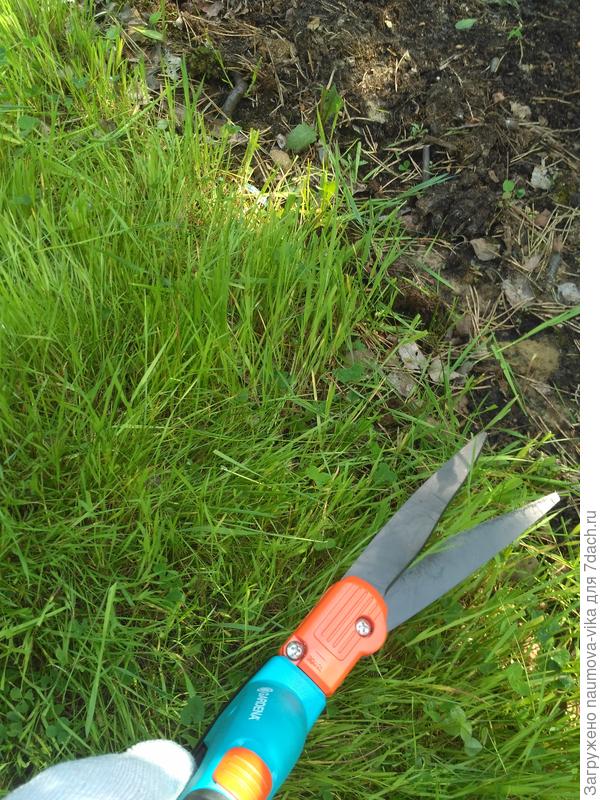 Как заточить садовые ножницы для стрижки травы