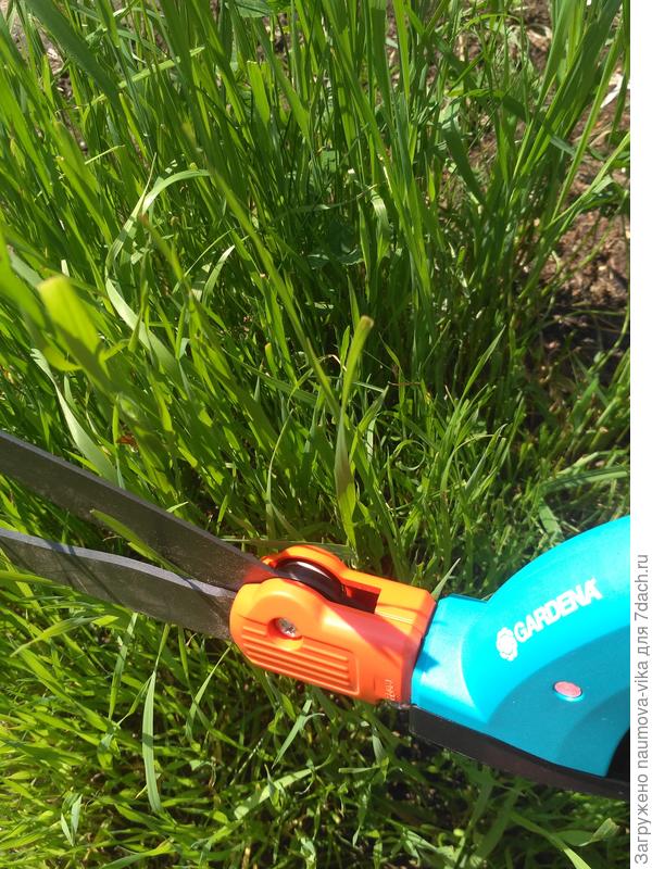Как правильно выбрать ножницы для стрижки травы