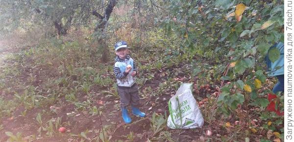 Это в прошлом году