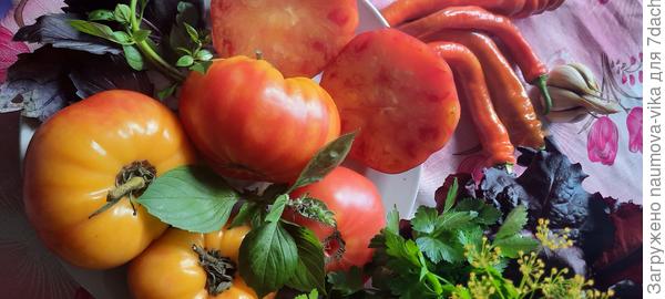 Вот она, моя прелесть. Хурма НК от РО.