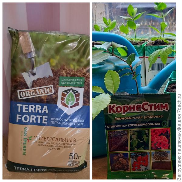 Грунт Terra forte. Стимулятор корнеобразования Корнестим.