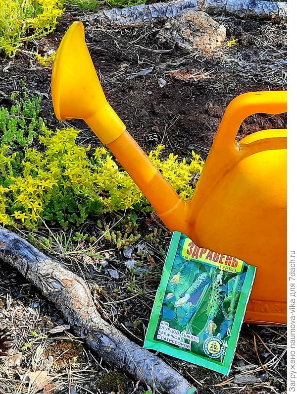 20.06.2021 подкормка Здравень турбо